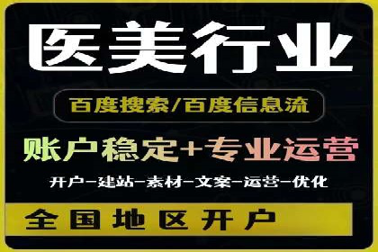 SEM服务案例：助力企业拓展海外市场